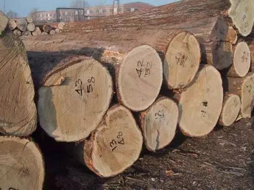 永盈会·[中国]官方网站