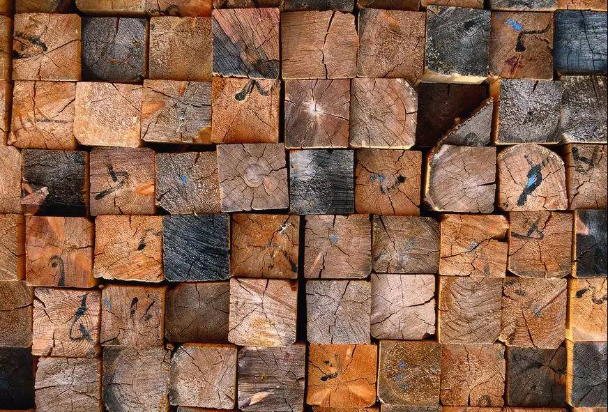 永盈会·[中国]官方网站